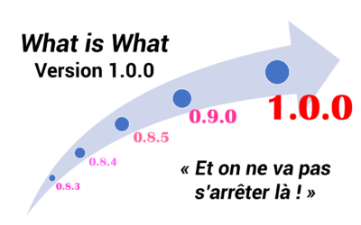 What-is-What-version-1.0-400x250 - The WIW - Solutions 4.0